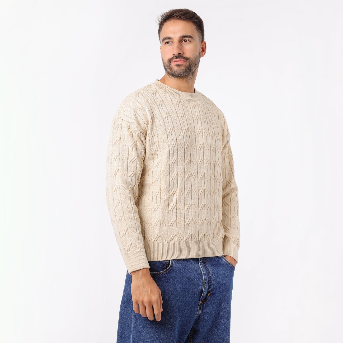 Men's Crew Neck Knit Sweater