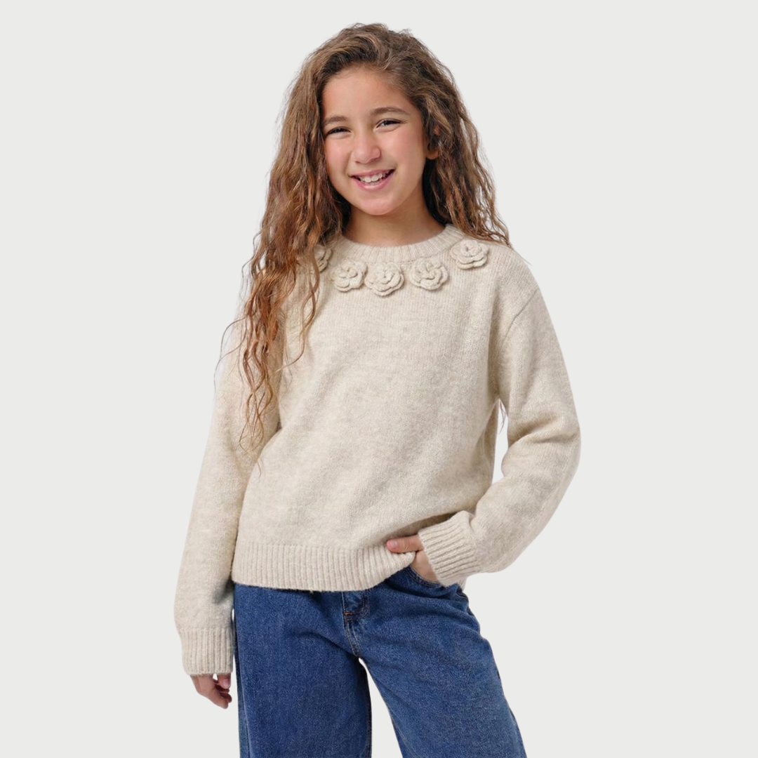 Girls Crew Neck Knit Sweater