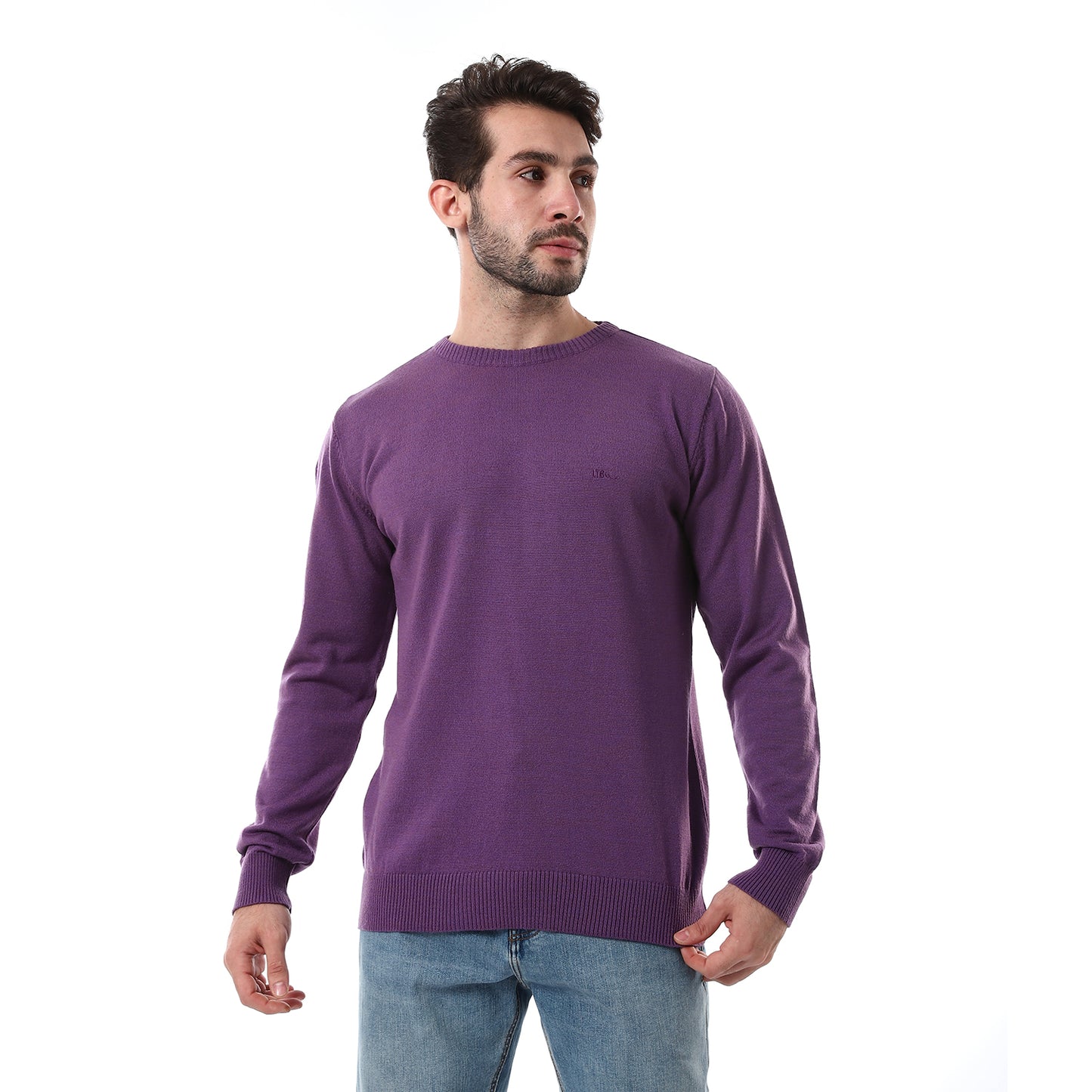Men's Crewneck Knit Sweater
