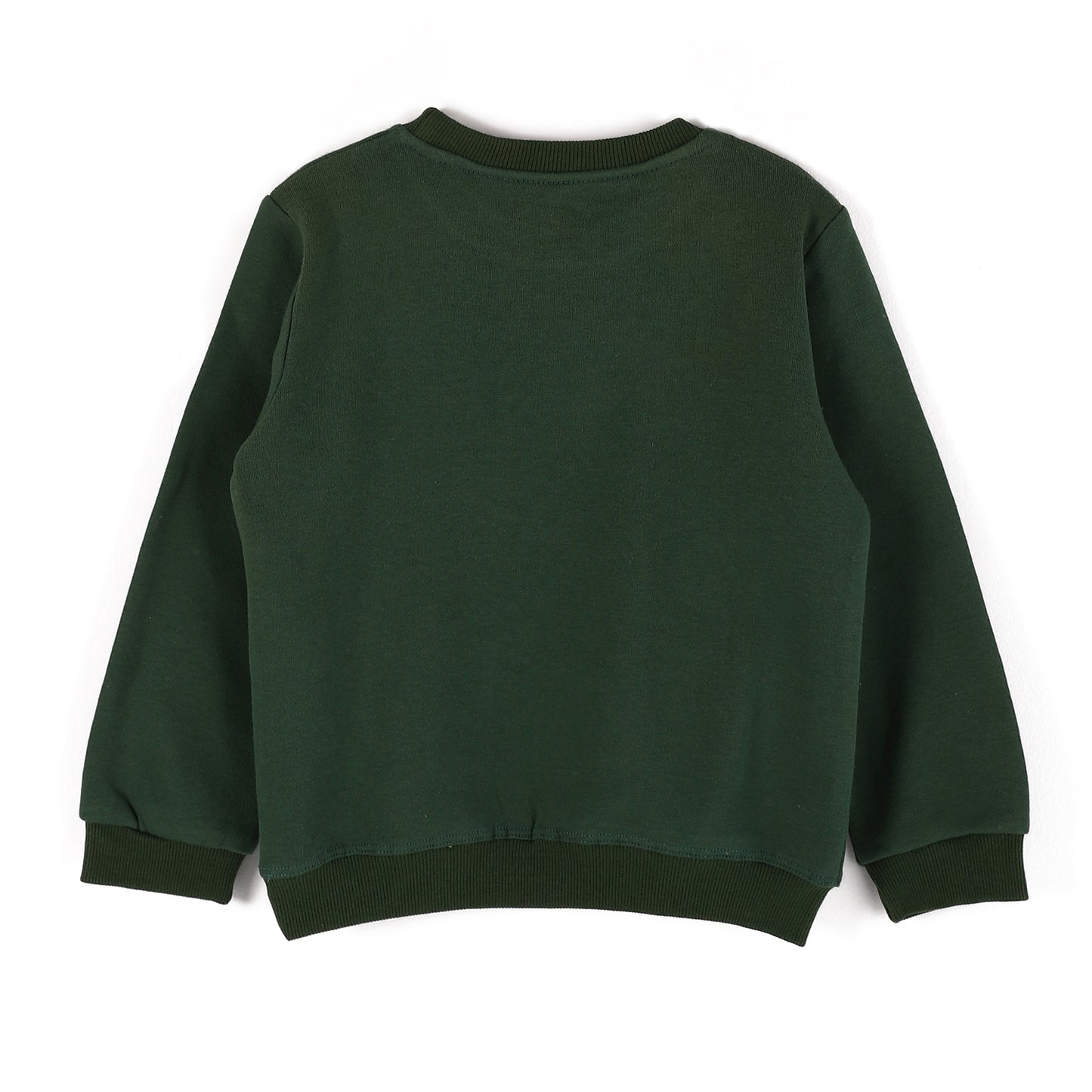 Boys Melton Printed Sweatshirt
