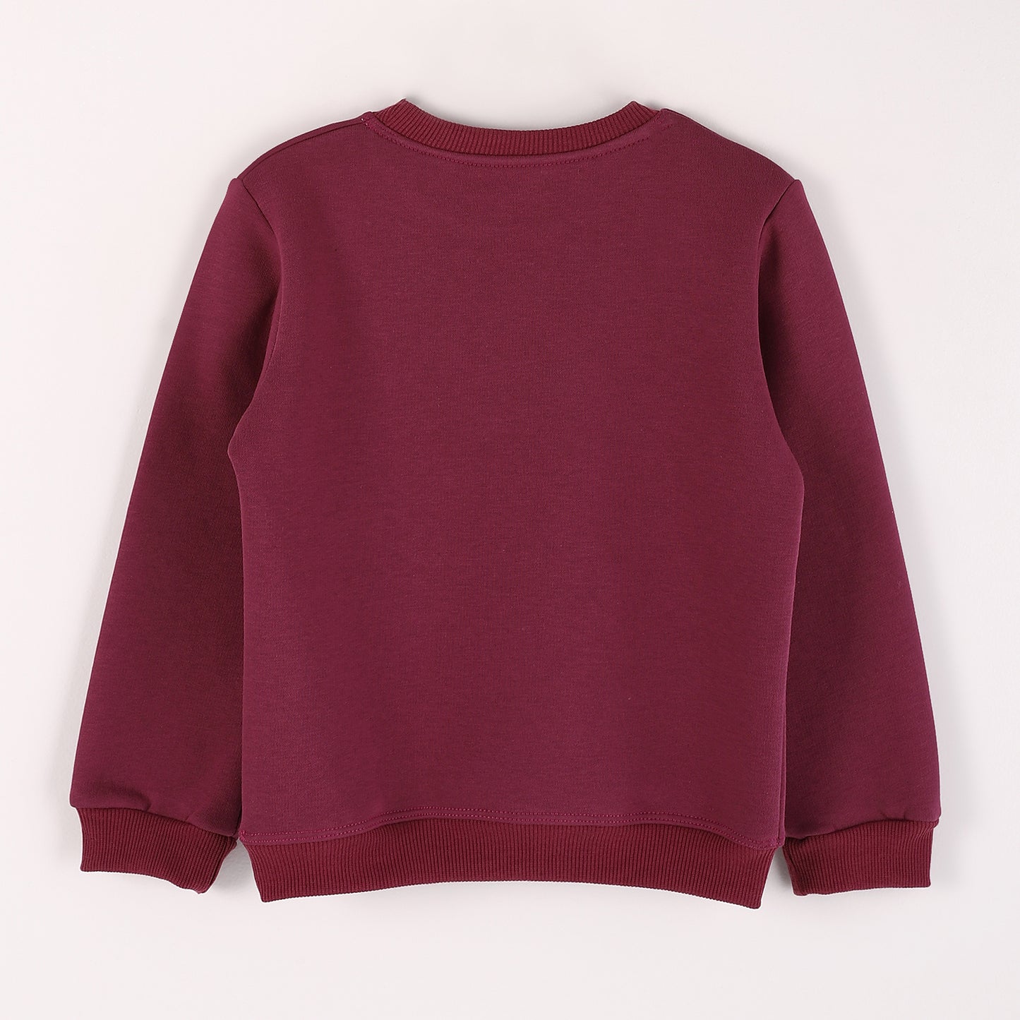 Boys Melton Printed Sweatshirt