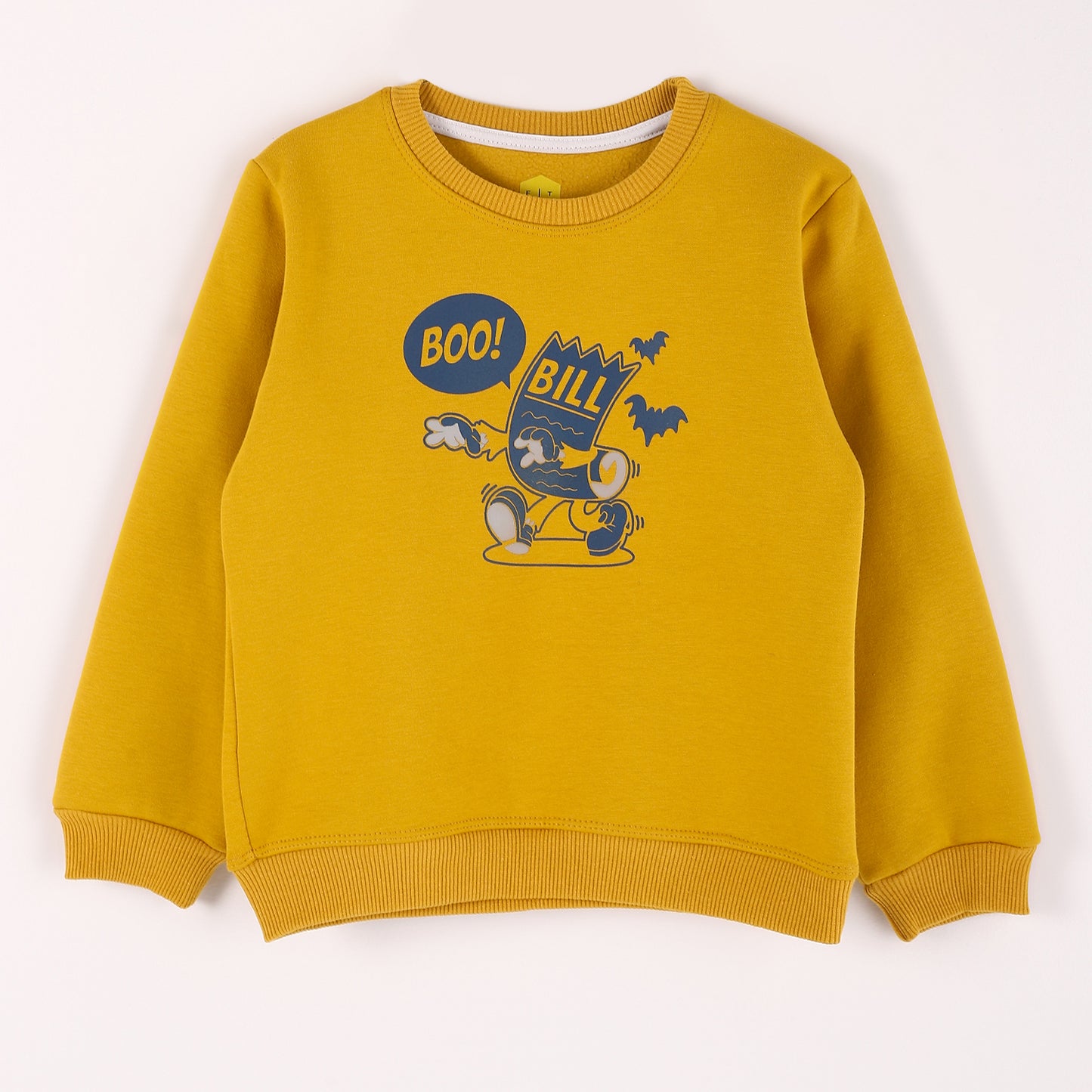 Boys Melton Printed Sweatshirt