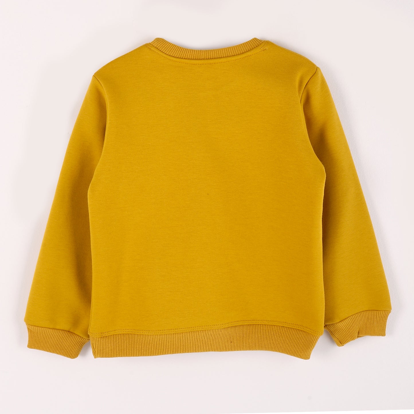 Boys Melton Printed Sweatshirt