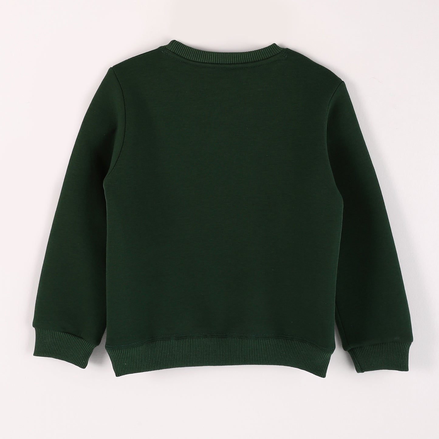 Boys Melton Printed Sweatshirt