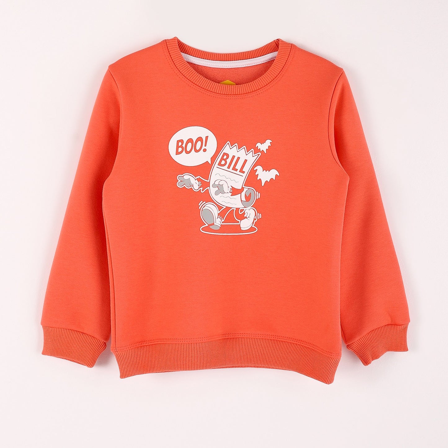 Boys Melton Printed Sweatshirt