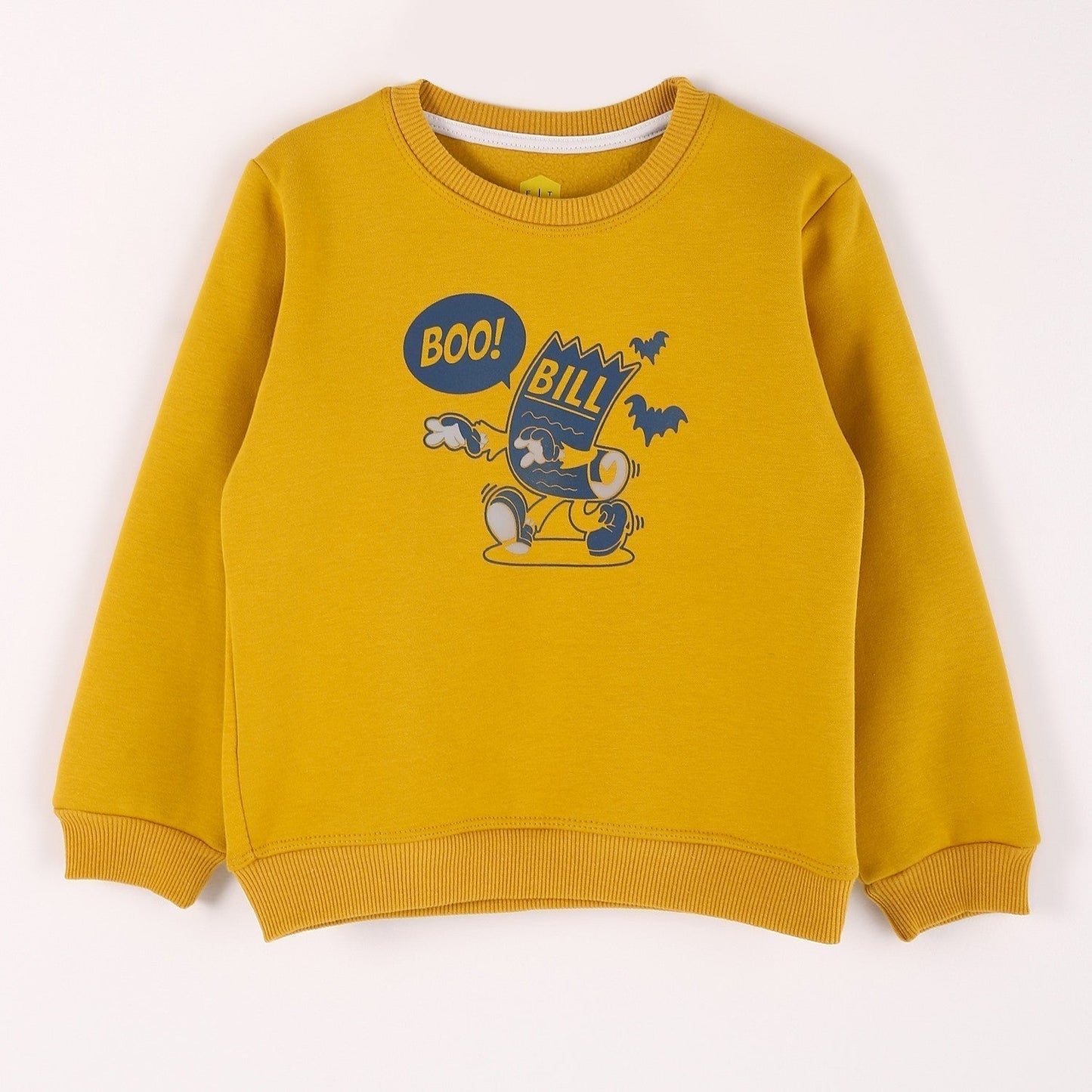Boys Melton Printed Sweatshirt