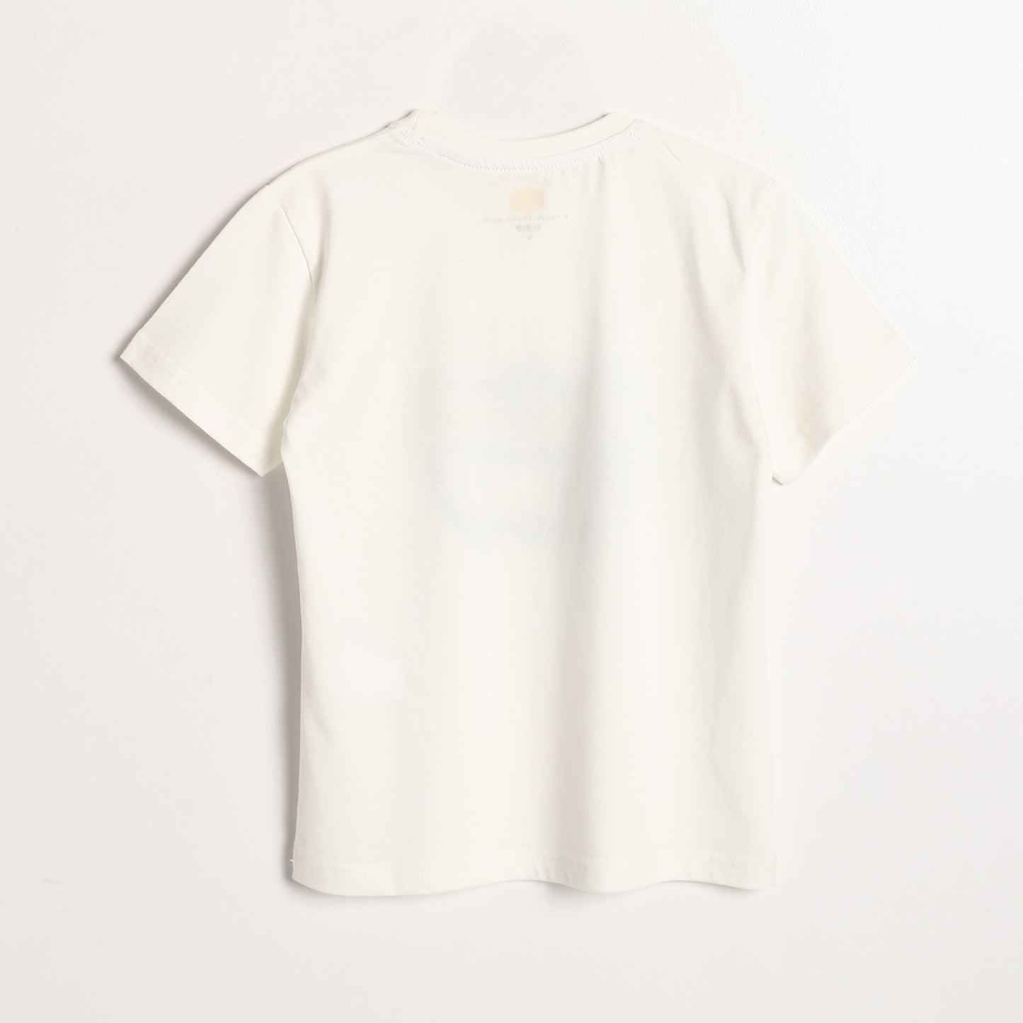 Boys Cotton Printed T-Shirt
