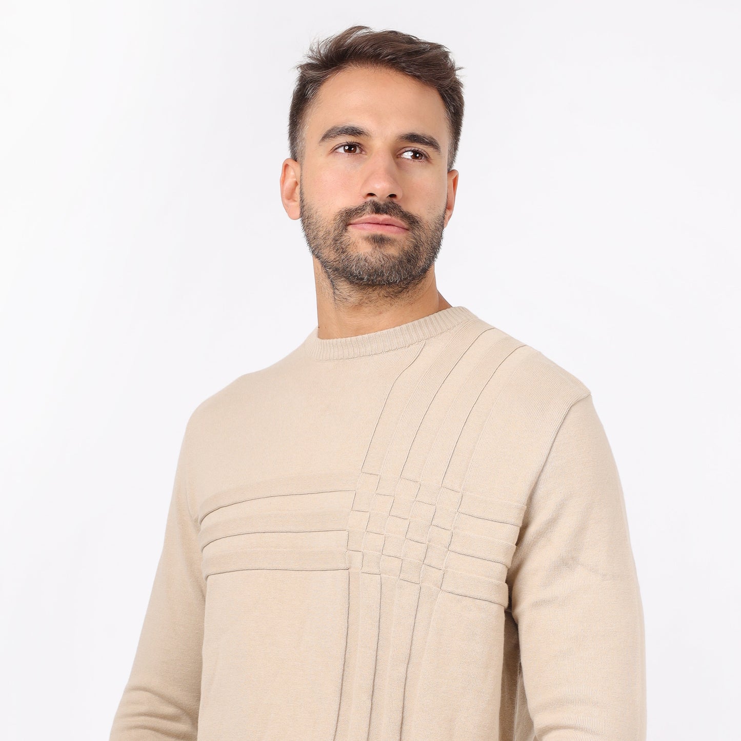 Men's Crew Neck Knit Sweater