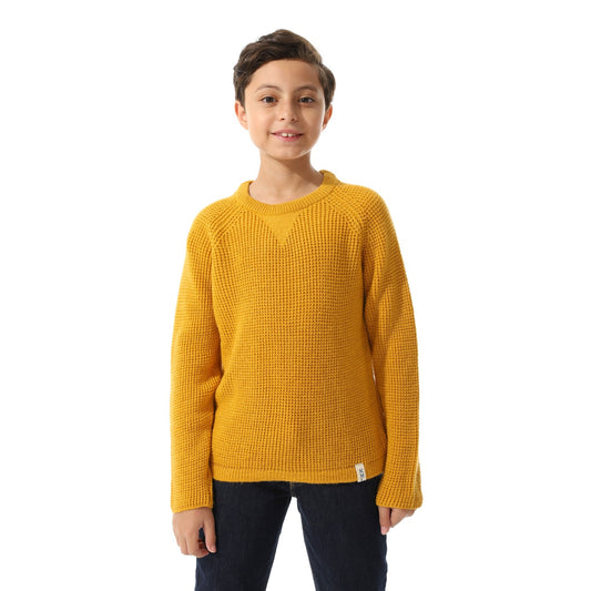 Boys Knit Crew Neck Pullover