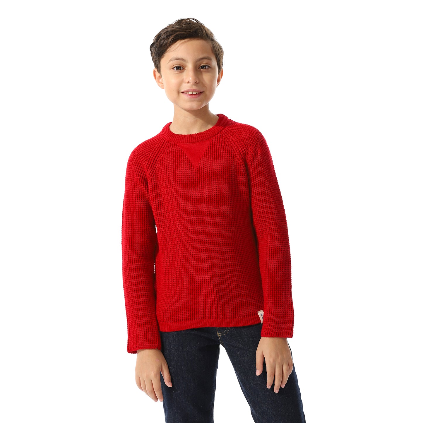 Boys Knit Crew Neck Pullover