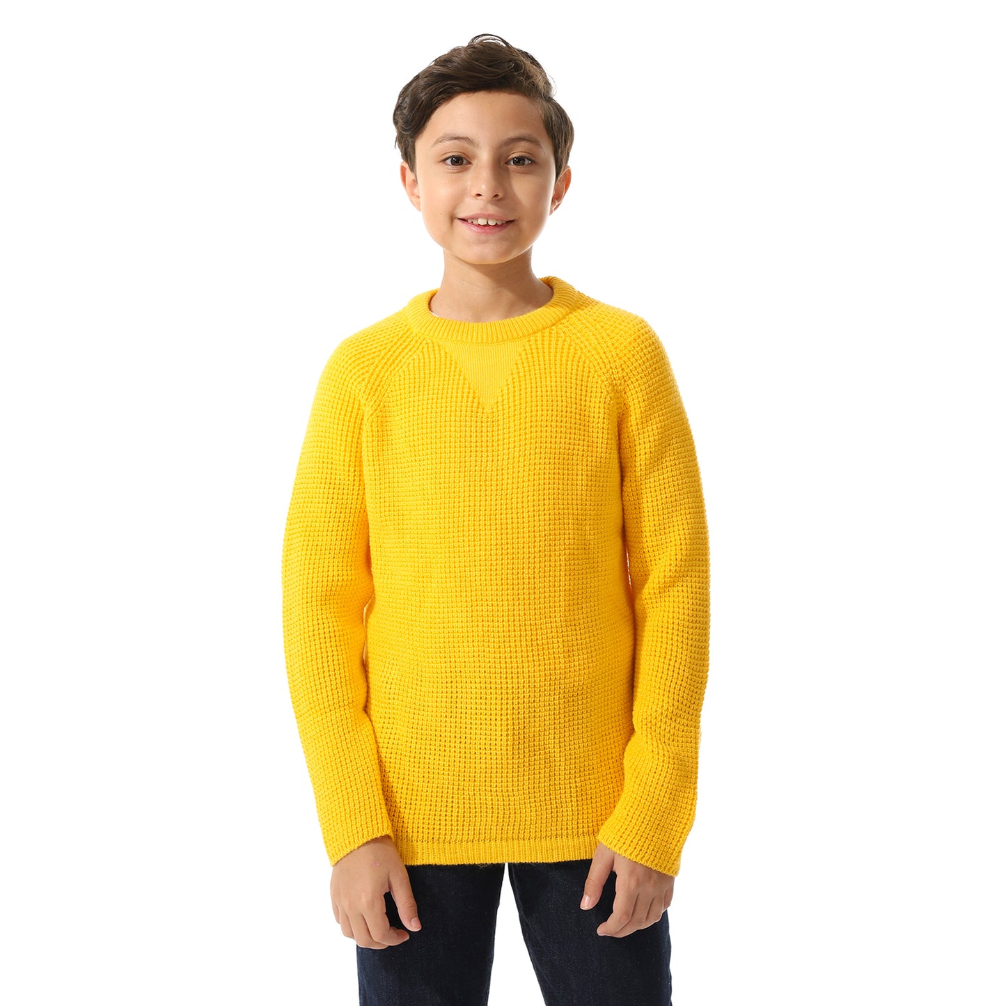 Boys Knit Crew Neck Pullover