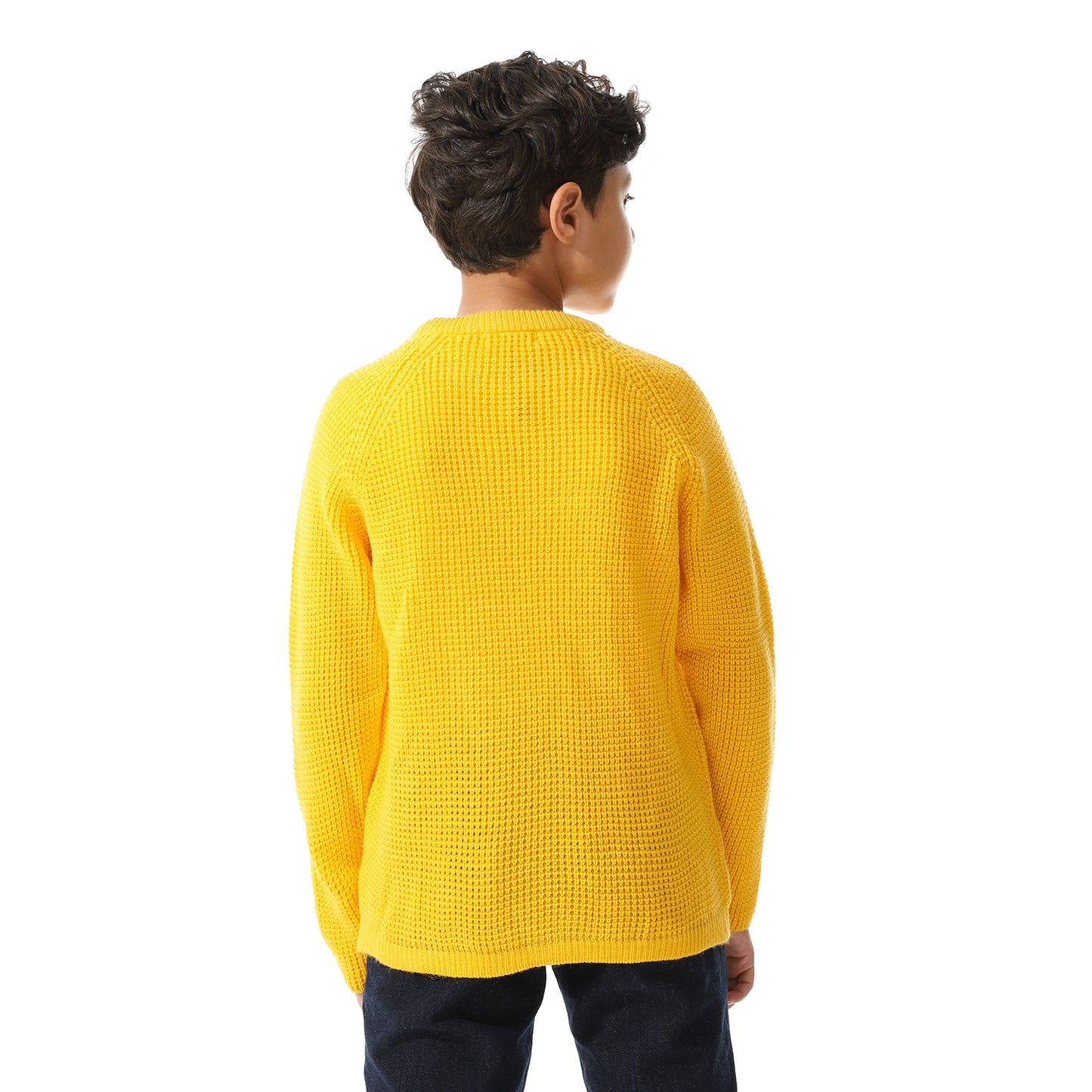 Boys Knit Crew Neck Pullover