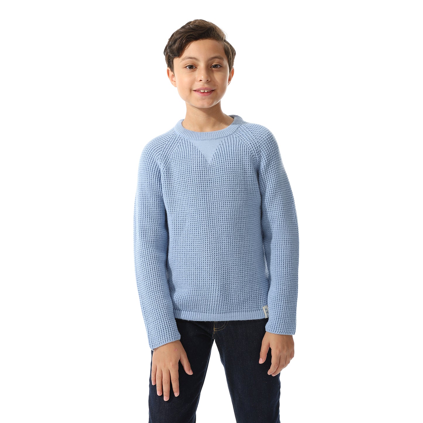 Boys Knit Crew Neck Pullover