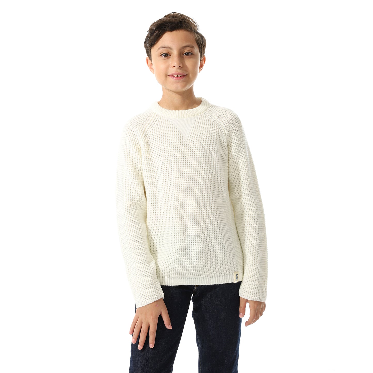 Boys Knit Crew Neck Pullover