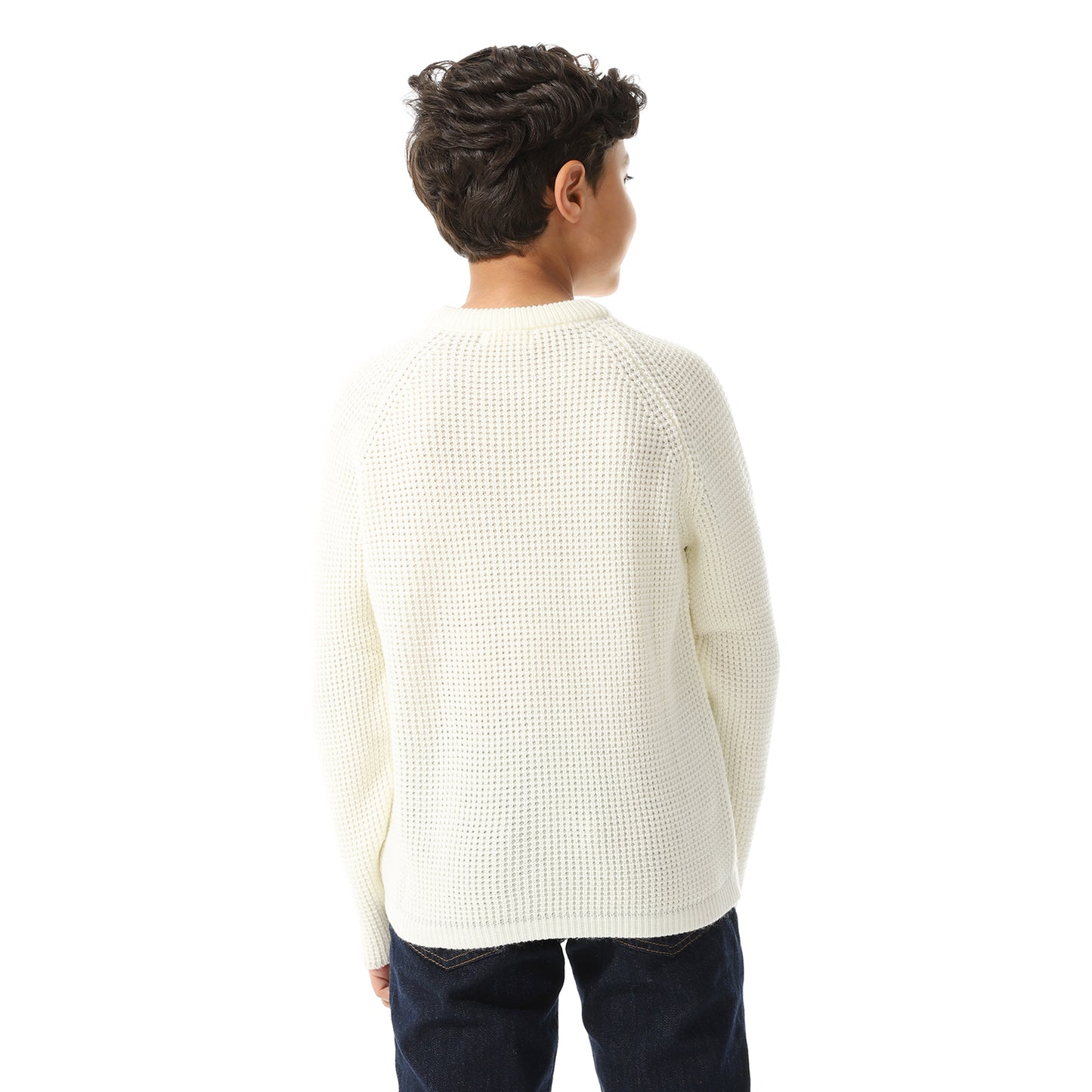 Boys Knit Crew Neck Pullover