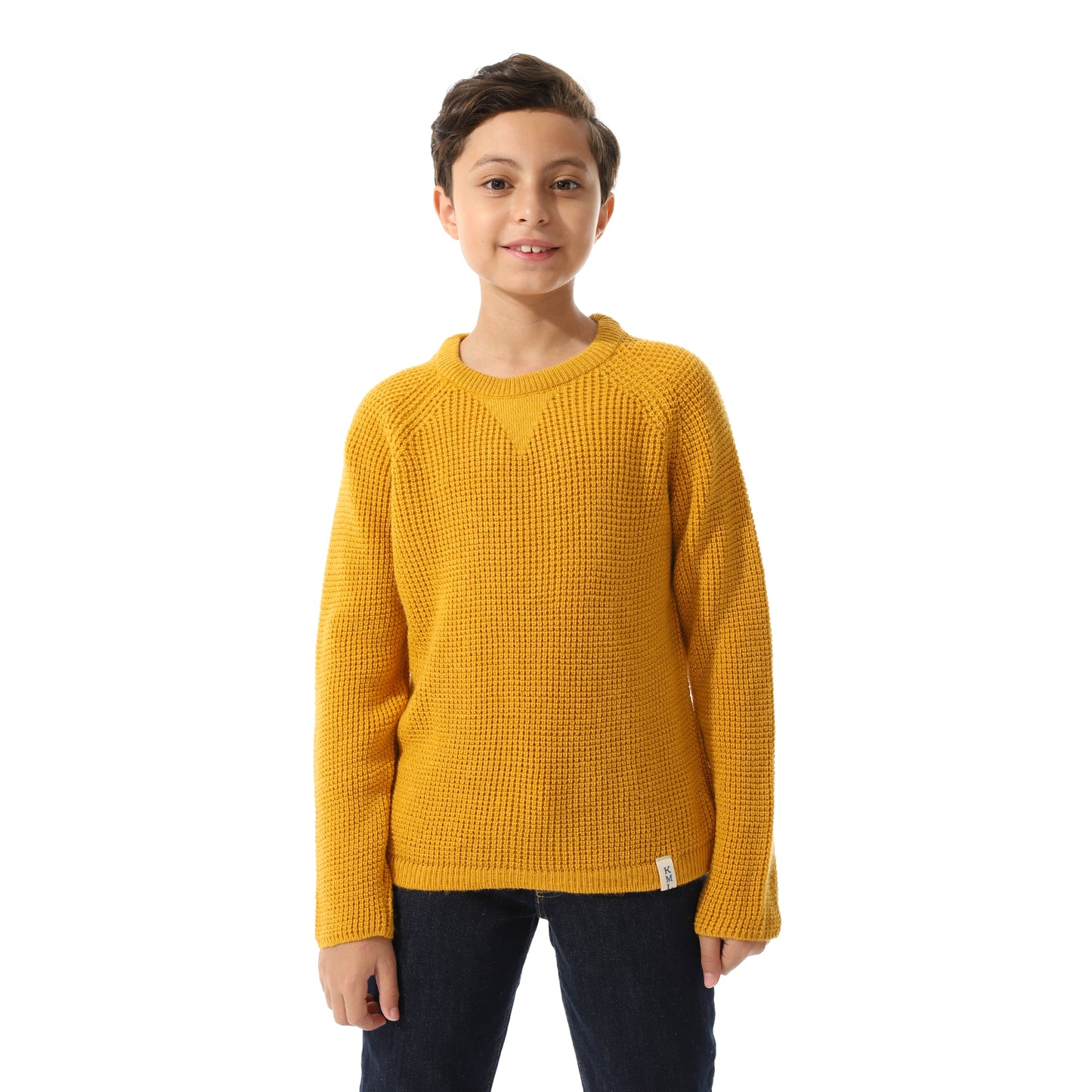 Boys Knit Crew Neck Pullover