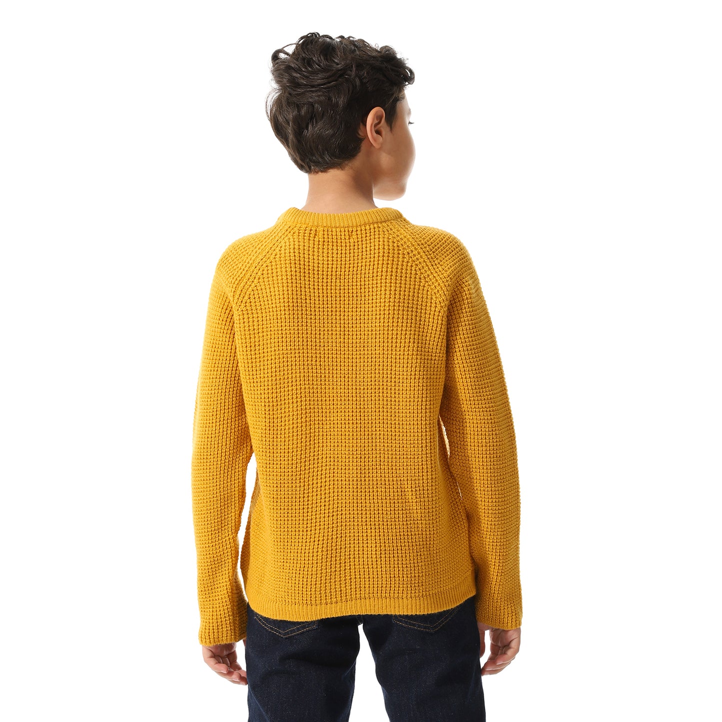 Boys Knit Crew Neck Pullover