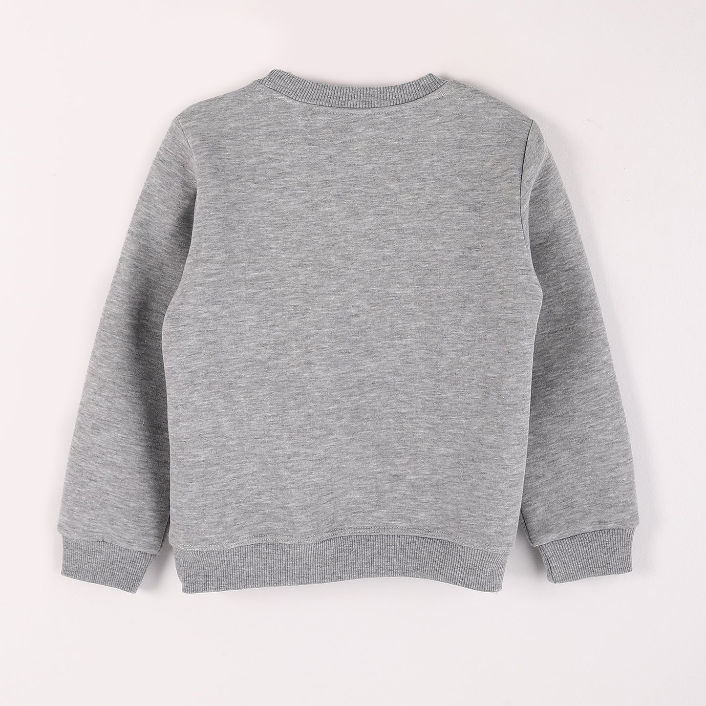 Boys Melton Printed Sweatshirt