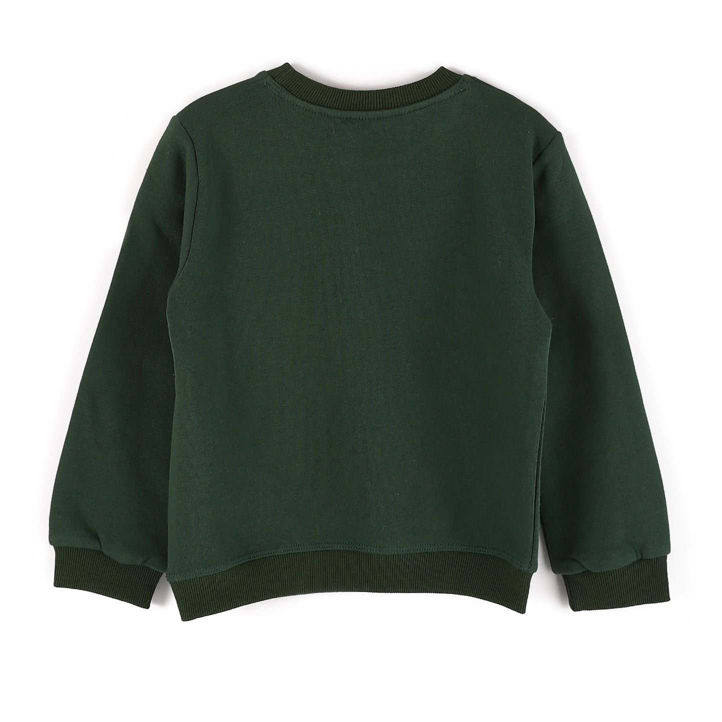 Boys Melton Printed Sweatshirt