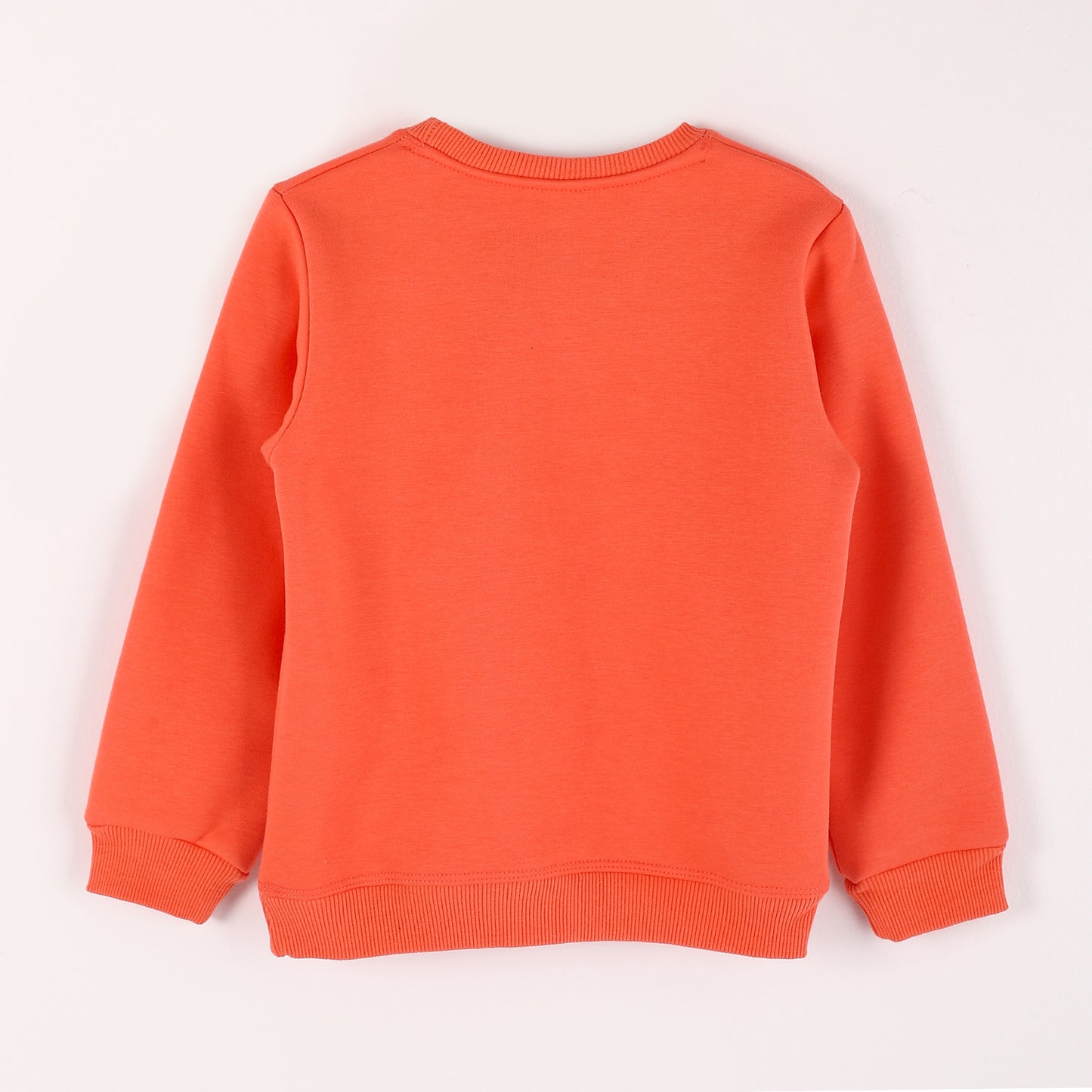 Boys Melton Printed Sweatshirt