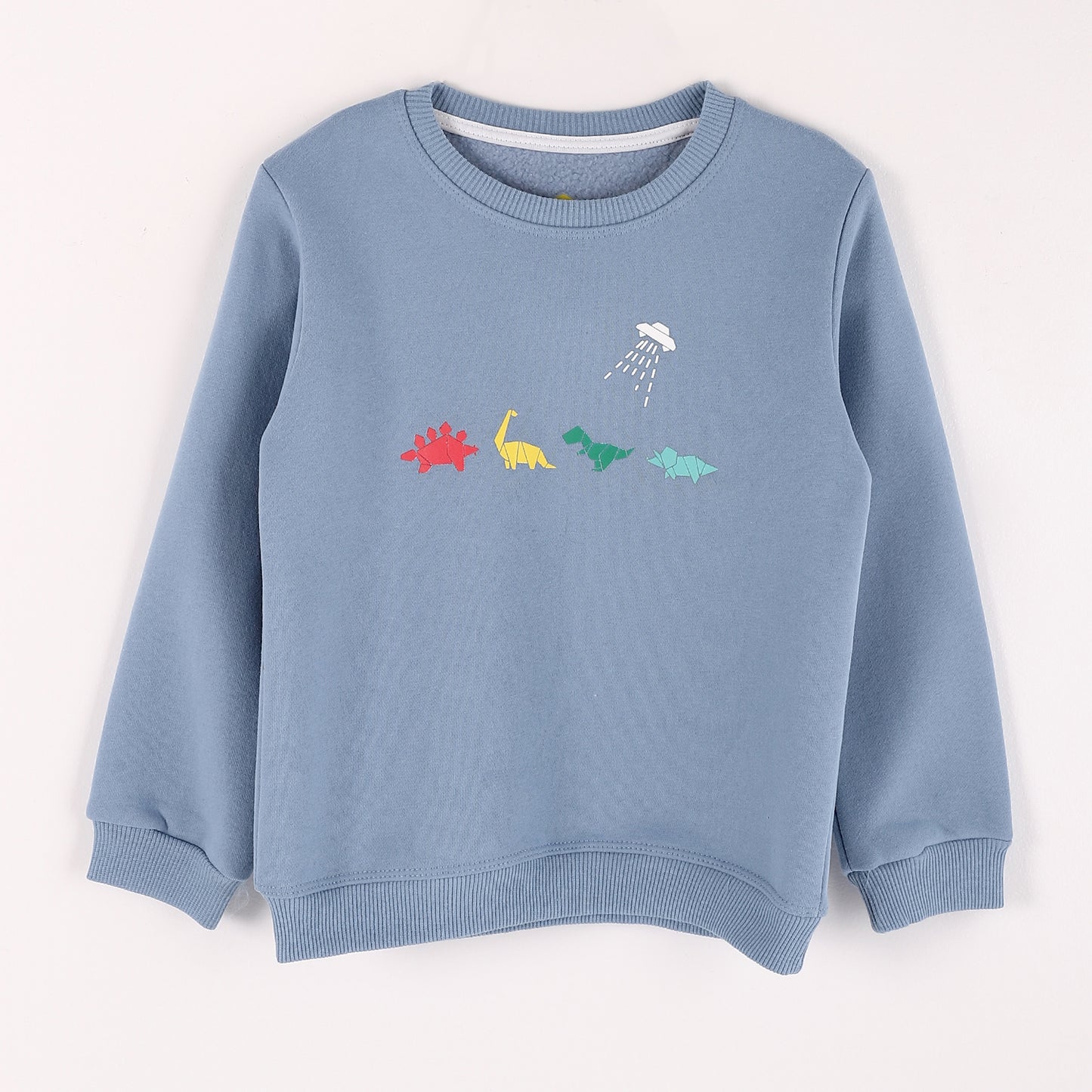 Boys Melton Printed Sweatshirt