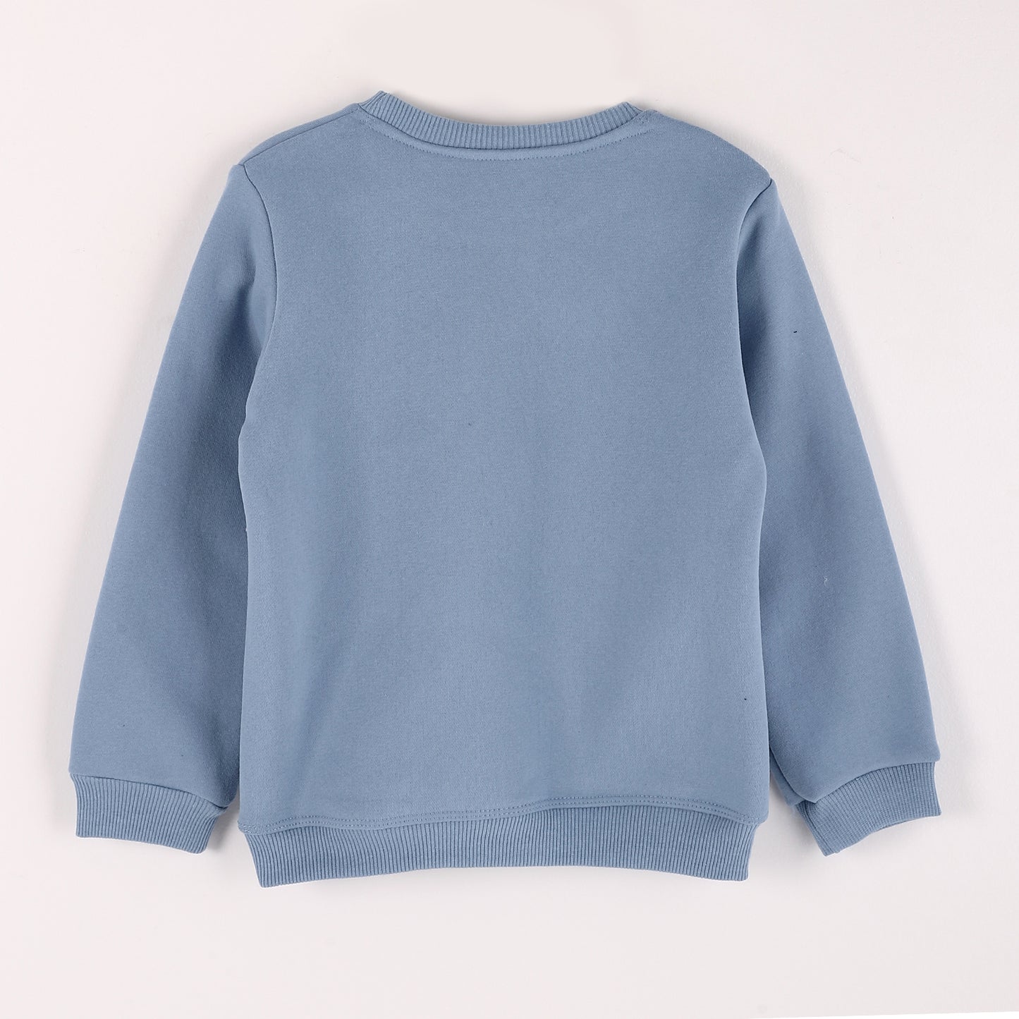 Boys Melton Printed Sweatshirt