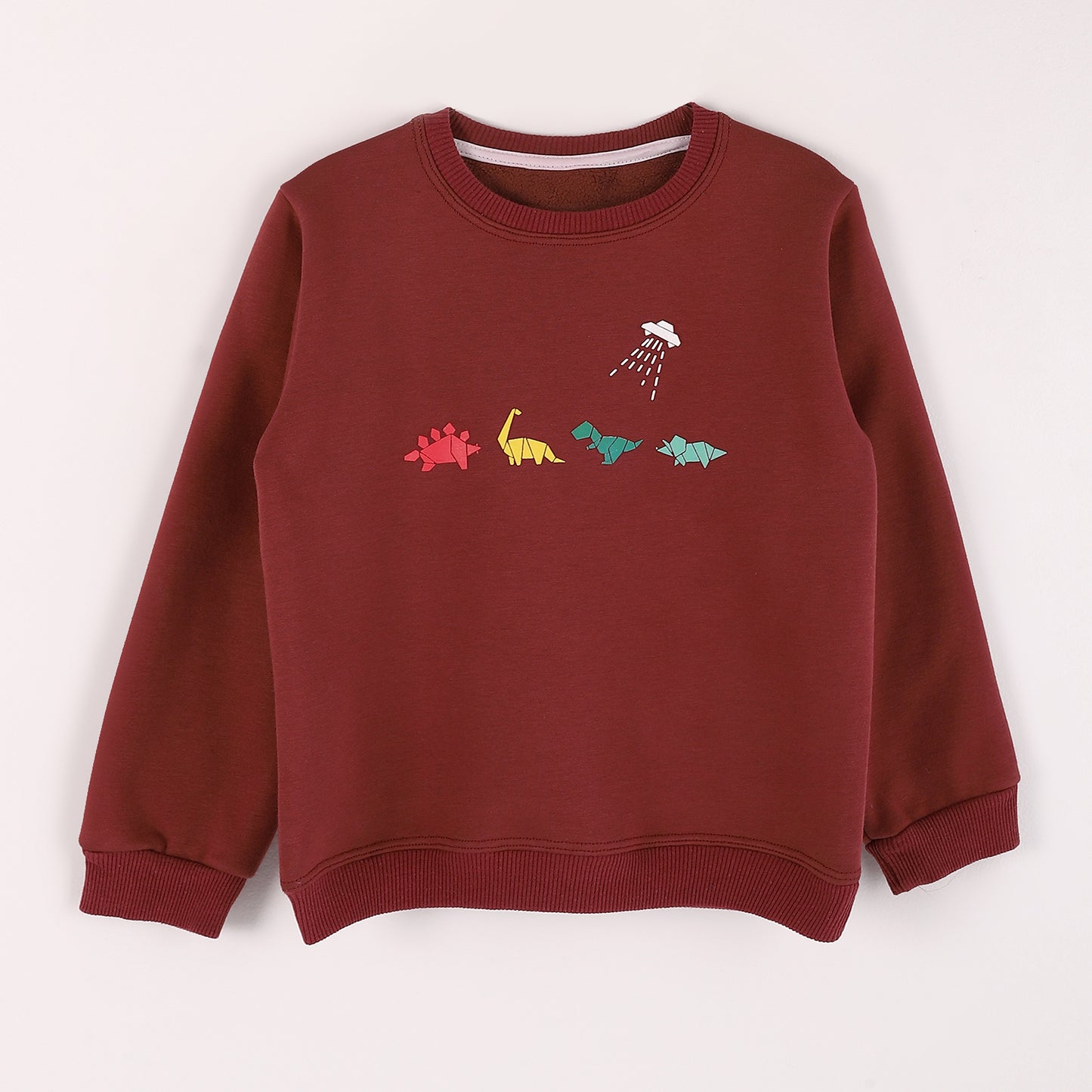 Boys Melton Printed Sweatshirt