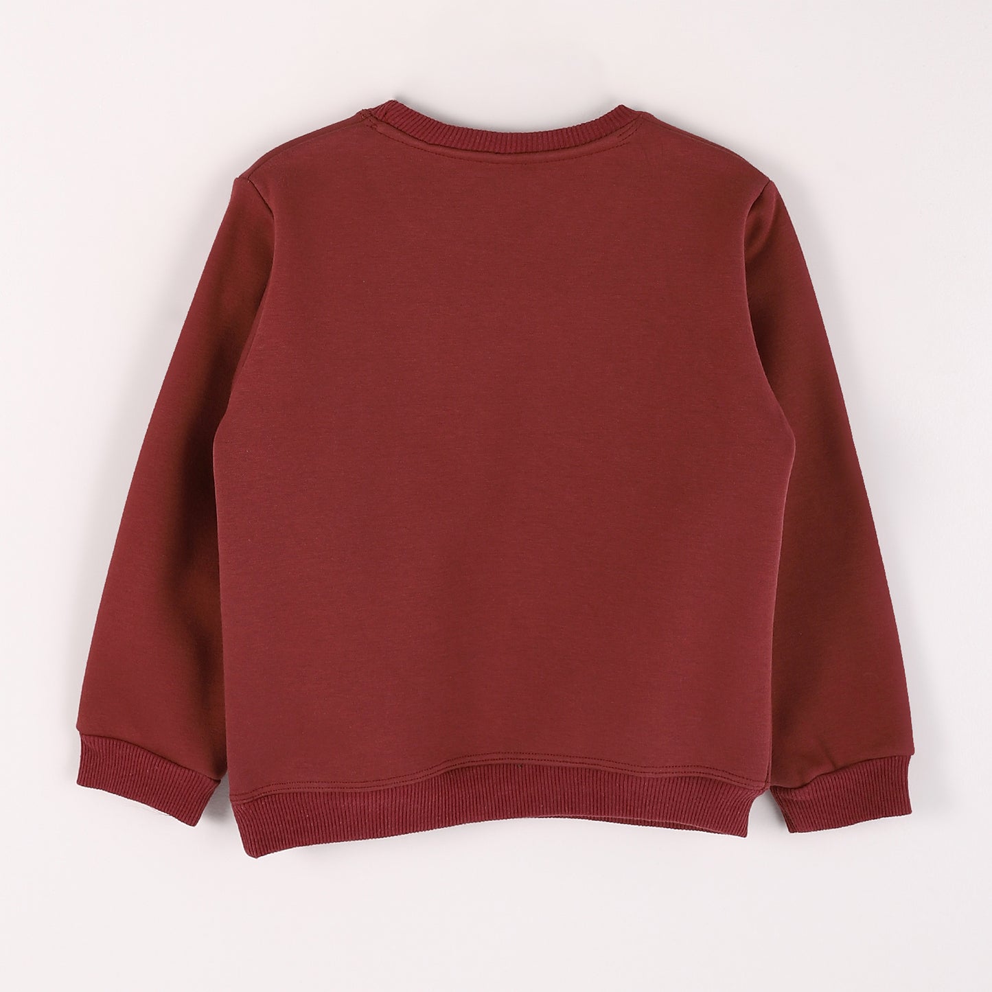 Boys Melton Printed Sweatshirt