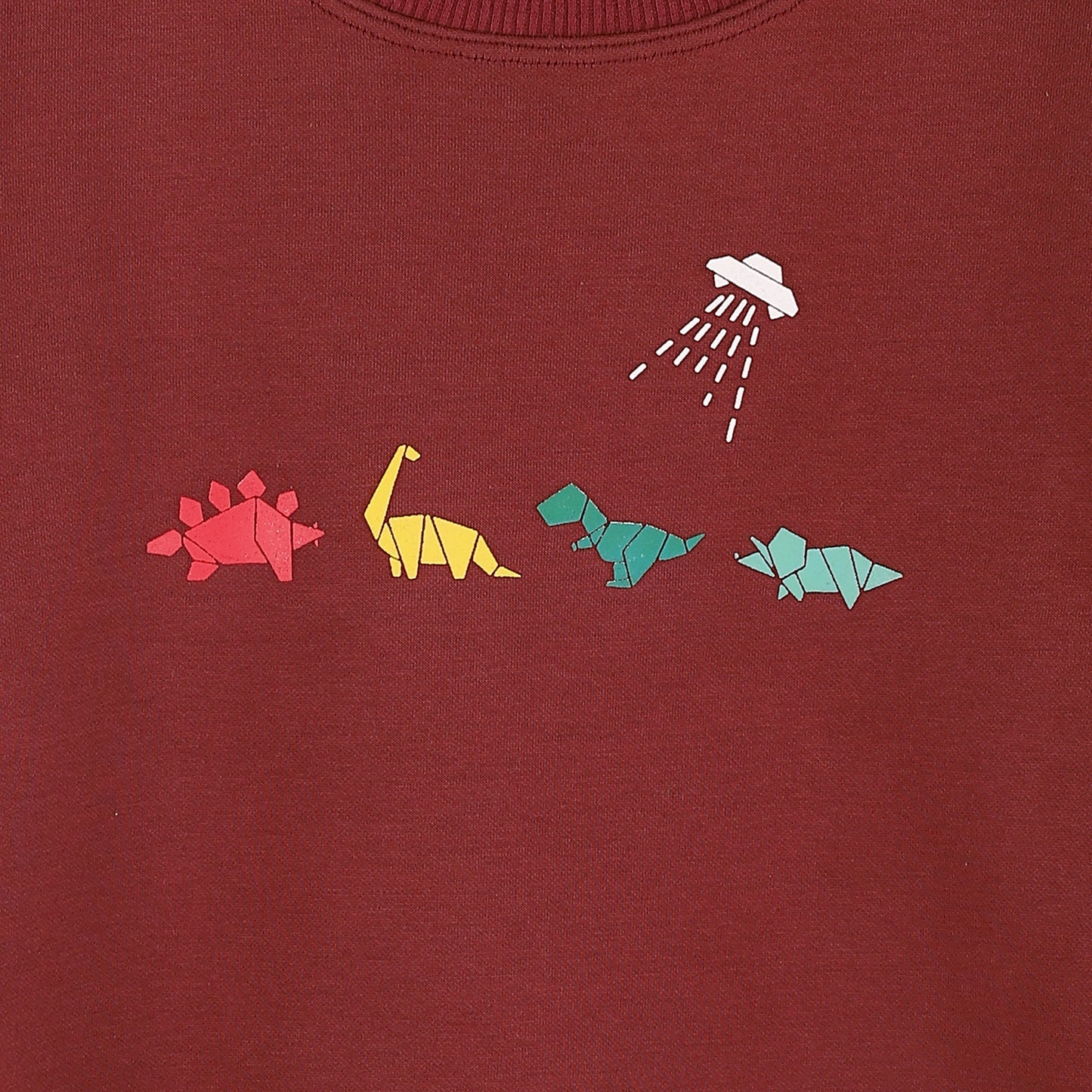 Boys Melton Printed Sweatshirt