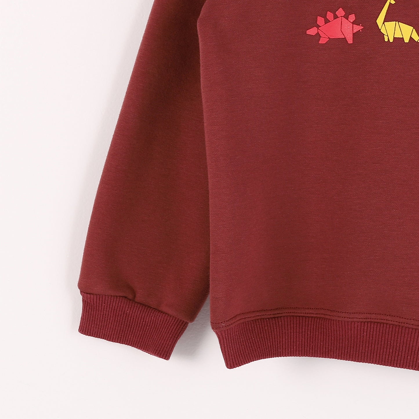 Boys Melton Printed Sweatshirt