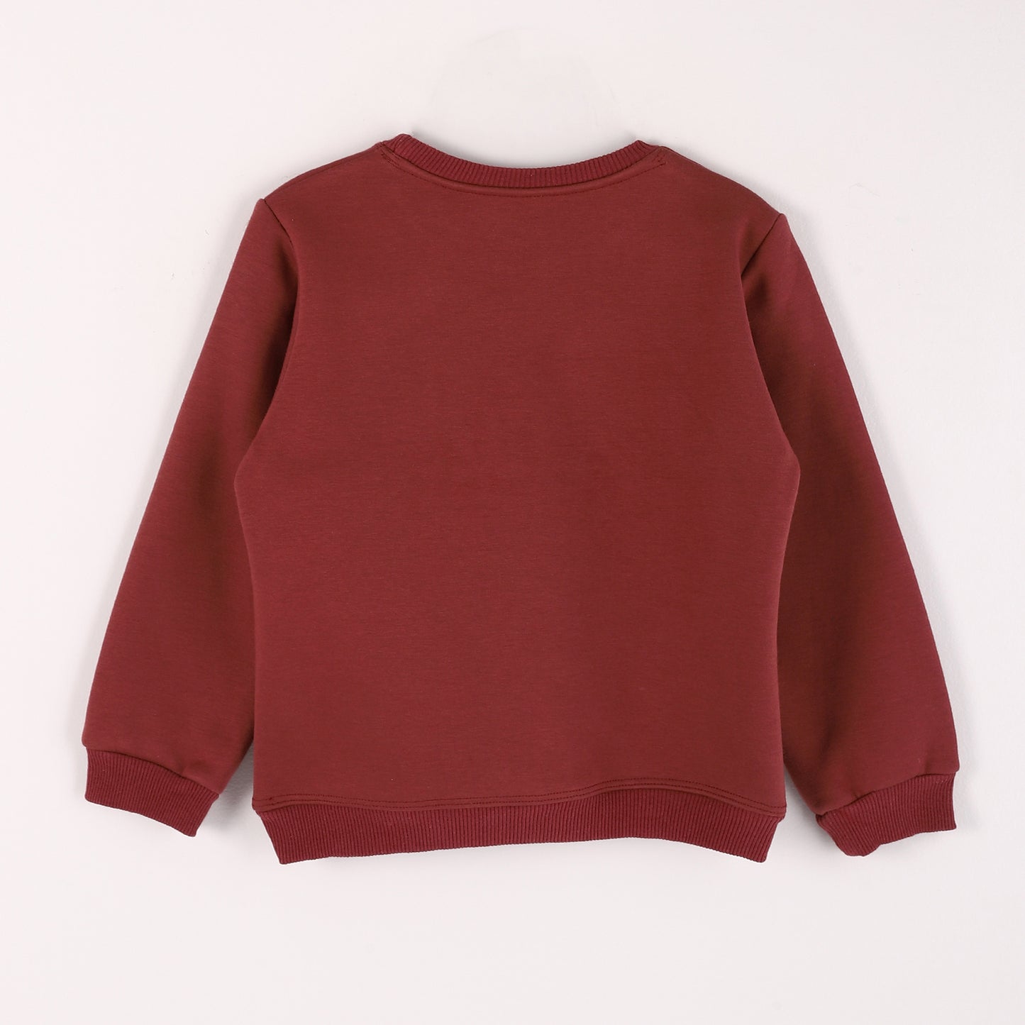 Boys Melton Printed Sweatshirt