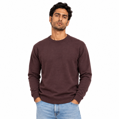 Man wearing Crew Neck Knit Pullover in Brown - model photo