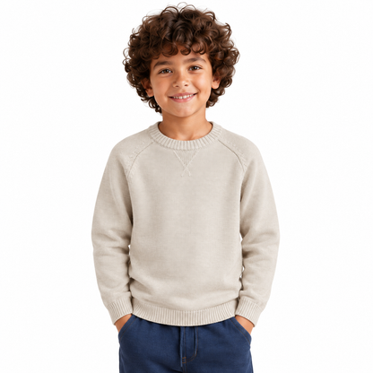 Boy wearing Plain Crew Neck Knit Pullover in Beige - model photo