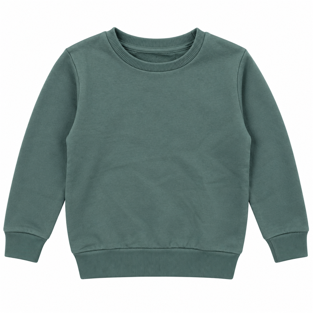 Boys' Plain Crewneck Sweatshirt | 26612308 - KHAKI flat product image