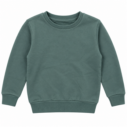 Boys' Plain Crewneck Sweatshirt | 26612308 - KHAKI flat product image