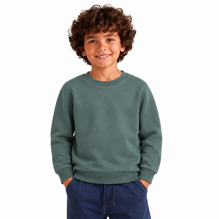 Boys' Plain Crewneck Sweatshirt | 26612308 - KHAKI model image