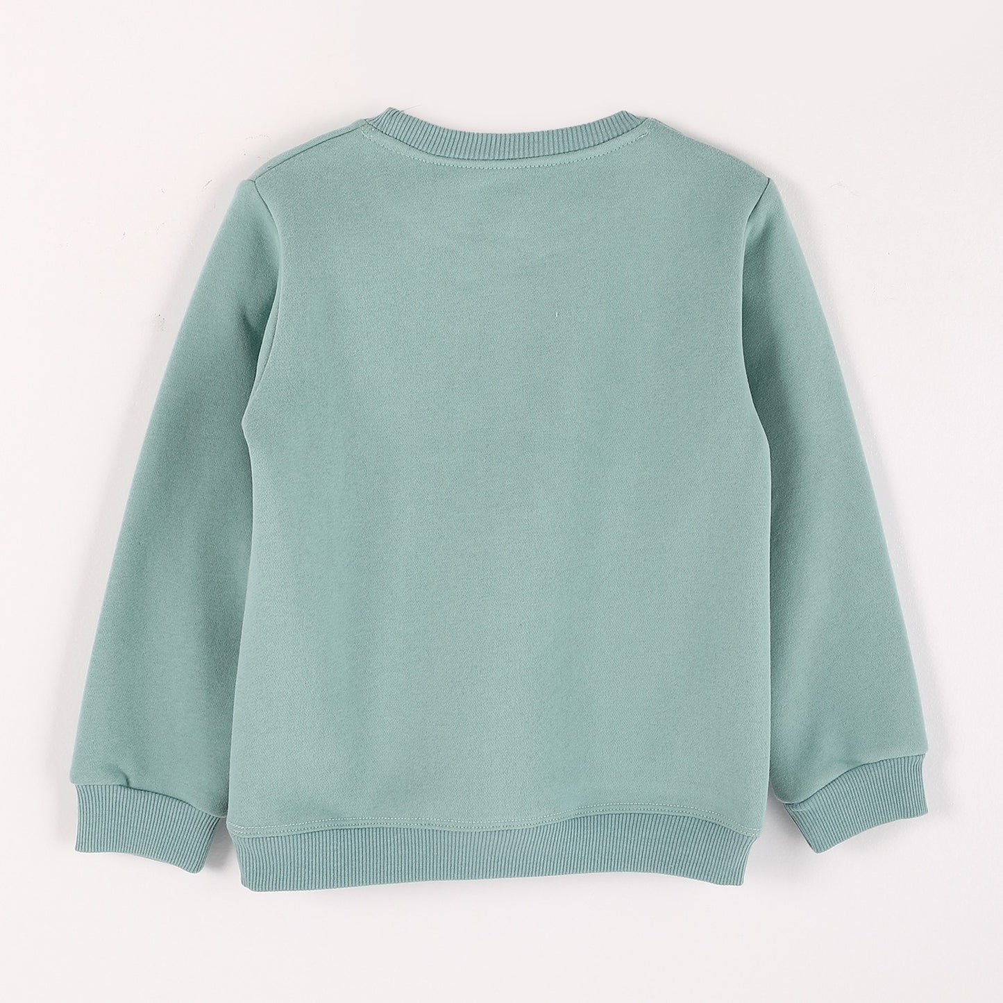 Boys Melton Printed Sweatshirt