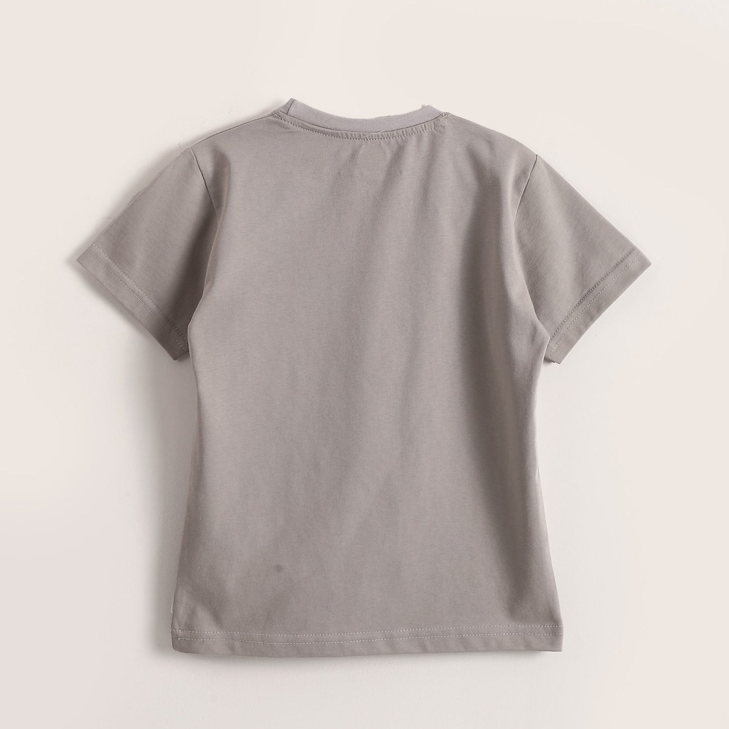 Boys Cotton Printed T-Shirt