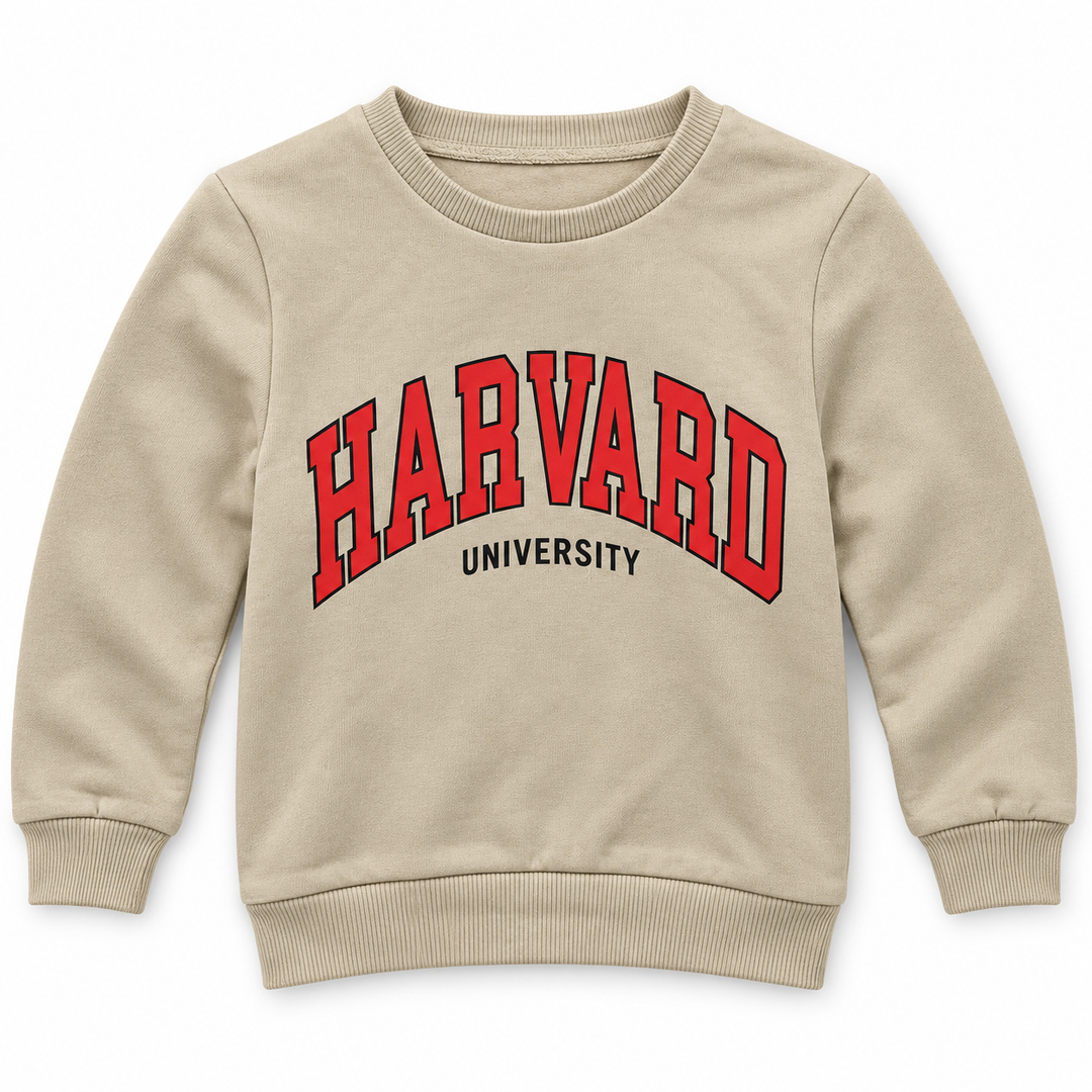 Boys' Harvard Graphic Sweatshirt in Beige — flat view, style 26612307