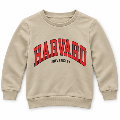 Boys' Harvard Graphic Sweatshirt in Beige — flat view, style 26612307
