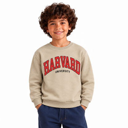 Boys' Harvard Graphic Sweatshirt in Beige — model view, style 26612307
