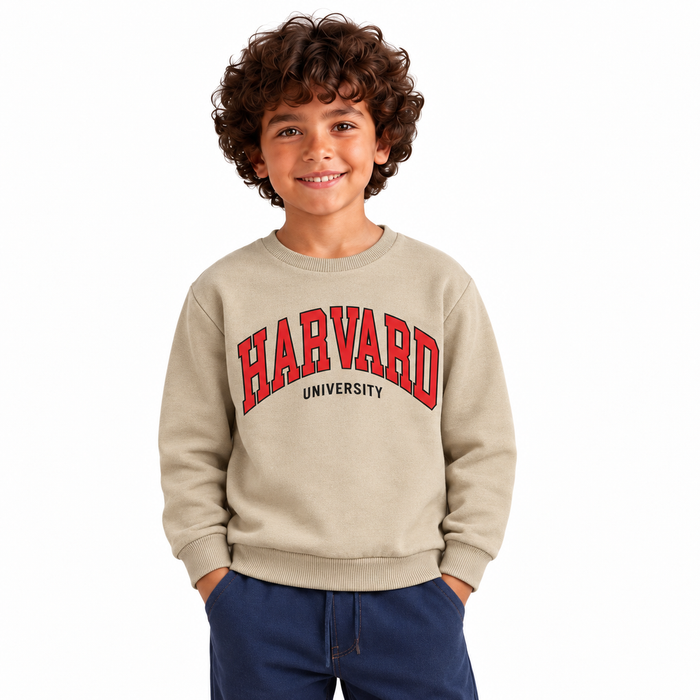 Boys' Harvard Graphic Sweatshirt in Beige — model view, style 26612307
